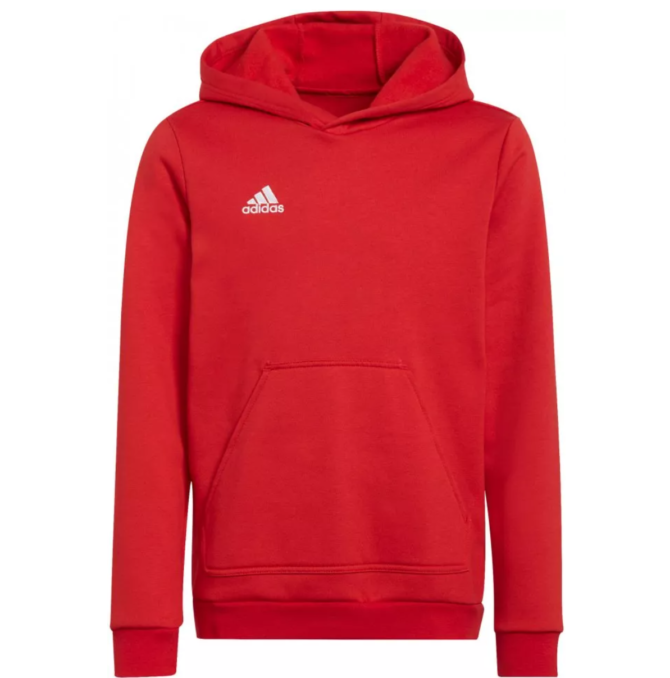 HODDIE GTZ OFICIAL ADIDAS 2025 - Image 2