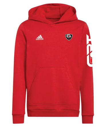 HODDIE GT3 OFICIAL ADIDAS